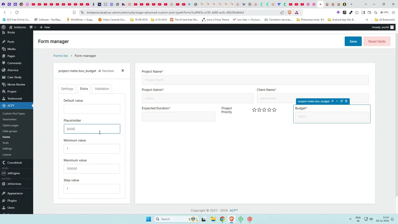 Setting placeholder and max values in field extra settings