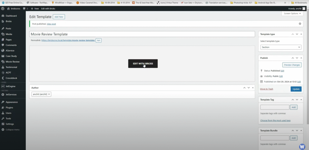 Bricks Template for Movie Review